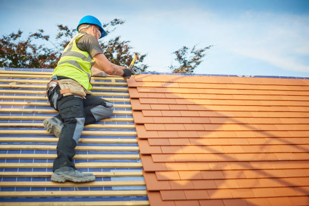 Best Sheet Metal Roofing  in Wabasha, MN