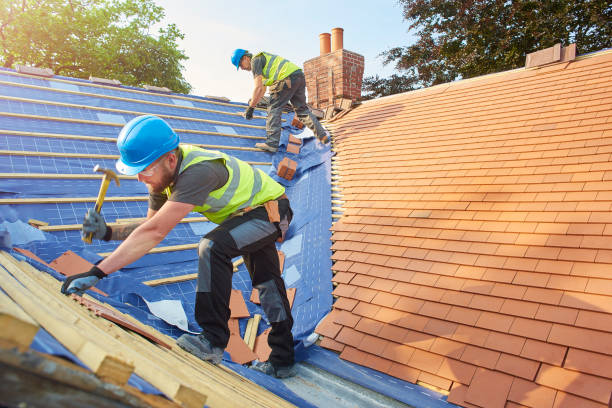 Professional  Roofing repair and installation in Wabasha, MN
